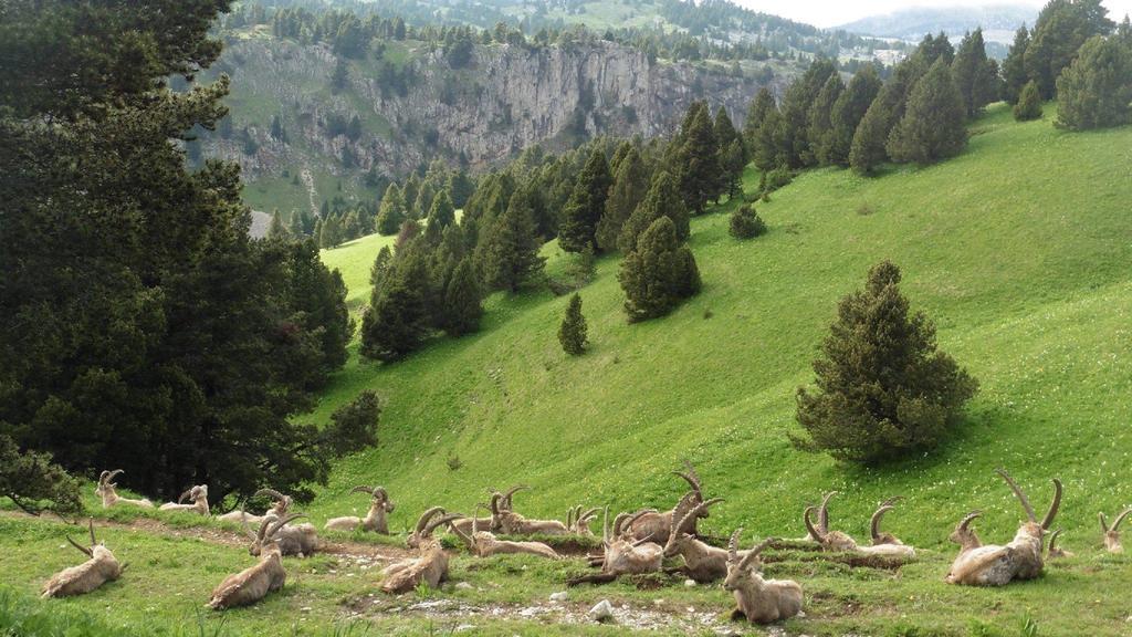 Au Feu De Bois Autrans-Meaudre-en-Vercors